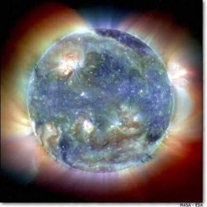 Meet your Posher, Steve